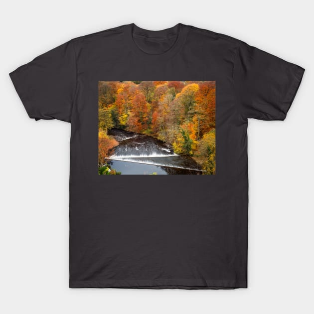 Autumn Weir T-Shirt by GeoffCarpenter